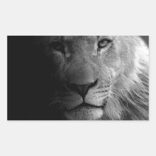 Schwarz-weißes Motivierend Leadership Lion Portrai Rechteckiger Aufkleber