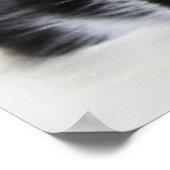Schwarz-weißes, nachdenkliches Kitten Poster (Ecke)