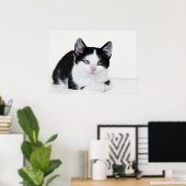 Schwarz-weißes, nachdenkliches Kitten Poster (Heimbüro)