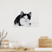 Schwarz-weißes, nachdenkliches Kitten Poster (Küche)