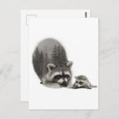 Schwarz-weißes Niedliches Raccoon mit Baby Postkarte (Vorne/Hinten)