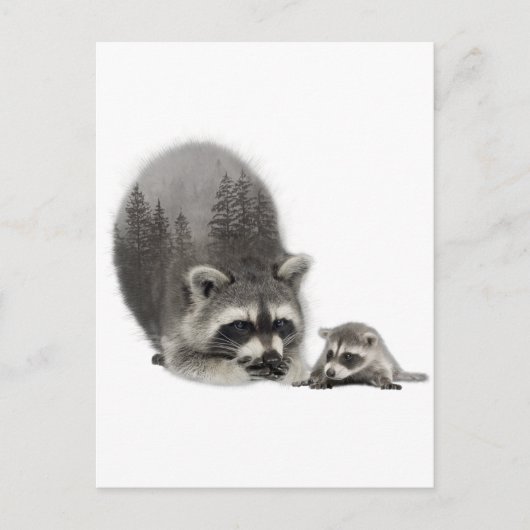 Schwarz-weißes Niedliches Raccoon mit Baby Postkarte (Vorderseite)