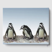 Schwarz-weißes Penguin Bird Birthday Party Gästebu Gästebuch (Rückseite)