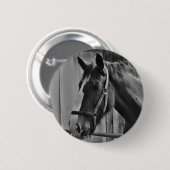 Schwarz-weißes Pferd - Tierfotografie Button (Vorne & Hinten)