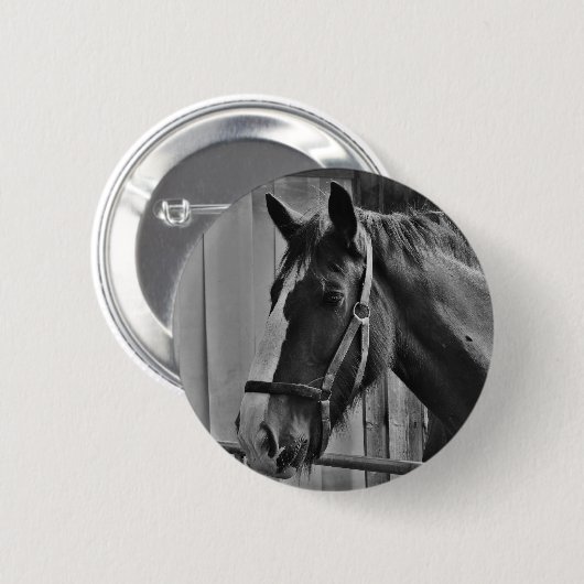 Schwarz-weißes Pferd - Tierfotografie Button (Vorne & Hinten)