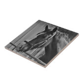 Schwarz-weißes Pferd - Tierfotografie Fliese (Seite)