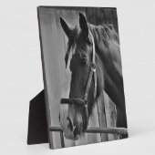 Schwarz-weißes Pferd - Tierfotografie Fotoplatte (Seite)