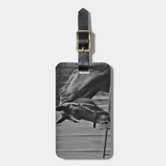 Schwarz-weißes Pferd - Tierfotografie Gepäckanhänger (Vorderseite vertikal)