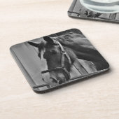 Schwarz-weißes Pferd - Tierfotografie Getränkeuntersetzer (Linke Seite)