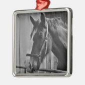 Schwarz-weißes Pferd - Tierfotografie Ornament Aus Metall (Links)