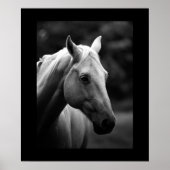 Schwarz-weißes Pferdportrait Poster (Vorne)