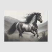 Schwarz-weißes Pinto-Pferd-Decoupage Seidenpapier (Vorderseite)