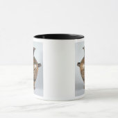 Schwarz-Zahl hydria Tasse (Zentrum)