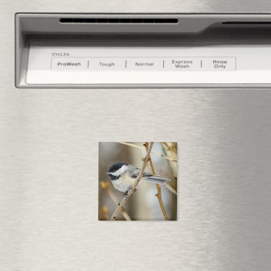 Schwarz Zappelmagazin Magnet (In Situ (Geschirrspüler))