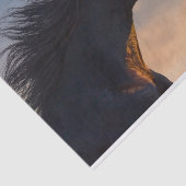 Schwarzafrikanisches Pferd bei Sonnenlicht Seidenpapier (Ausschnitt)