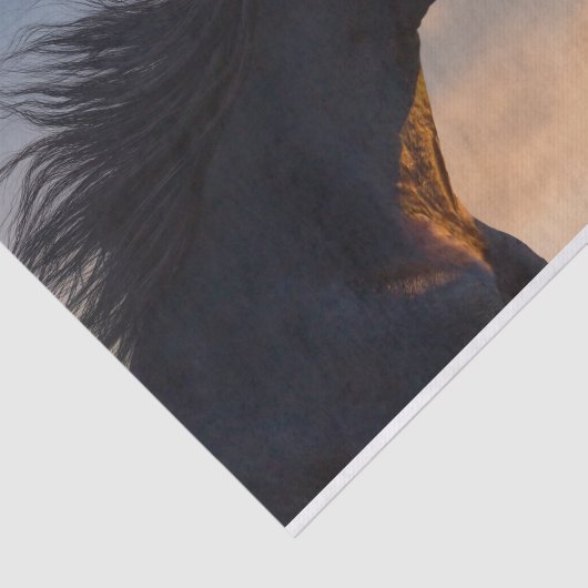 Schwarzafrikanisches Pferd bei Sonnenlicht Seidenpapier (Ausschnitt)