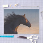 Schwarzafrikanisches Pferd bei Sonnenlicht Seidenpapier (Handwerk)