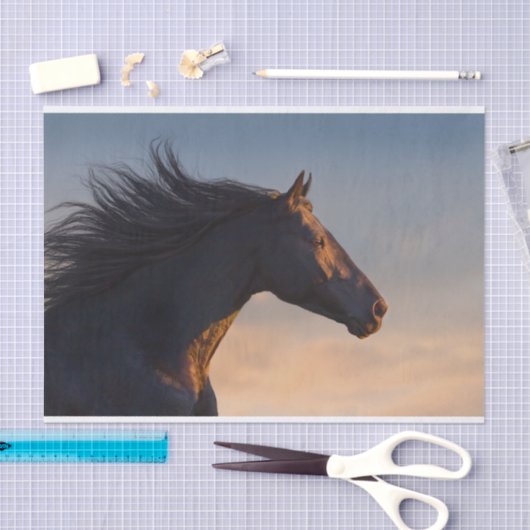 Schwarzafrikanisches Pferd bei Sonnenlicht Seidenpapier (Handwerk)