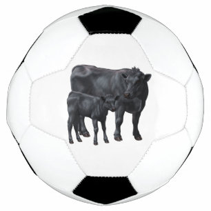 Schwarzanguskühe und Niedliches Kalb Fußball