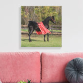 Schwarzarabischer Hengst in Seide Leinwanddruck (Insitu (Wohnzimmer))