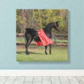 Schwarzarabischer Hengst in Seide Leinwanddruck (Insitu (Holzboden))