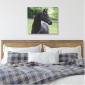Schwarzarabischer Hengst Leinwanddruck (Insitu (Schlafzimmer))