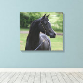 Schwarzarabischer Hengst Leinwanddruck (Insitu (Holzboden))