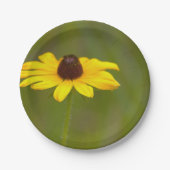 Schwarzaugige Susanne-Blumen-Papierteller Pappteller (Vorderseite)