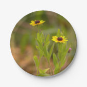 Schwarzäugige Susanne-Blumen-Papierteller Pappteller (Vorderseite)