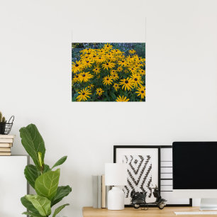 Schwarzaugige Susanne Garten Blumen Poster