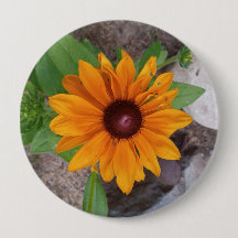 Schwarzäugige Susanne Gelbe Blume Foto