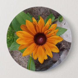 Schwarzäugige Susanne Gelbe Blume Foto Button