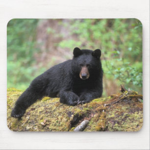 Schwarzbär auf einem alten Baumstamm in dem Mousepad