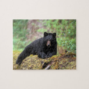 Schwarzbär auf einem alten Baumstamm in dem Puzzle