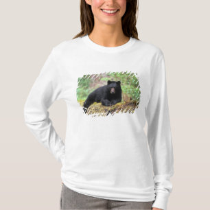 Schwarzbär auf einem alten Baumstamm in der T-Shirt
