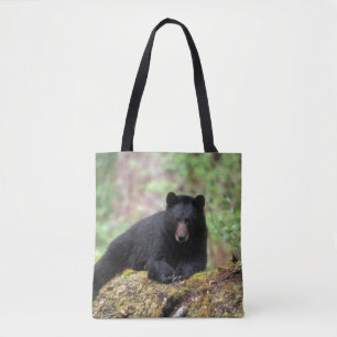 Schwarzbär auf einem alten Baumstamm in der Tasche