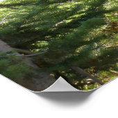 Schwarzbär bei Grand Teton Poster (Ecke)