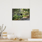 Schwarzbär bei Grand Teton Poster (Küche)