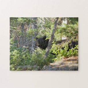 Schwarzbär bei Grand Teton Puzzle