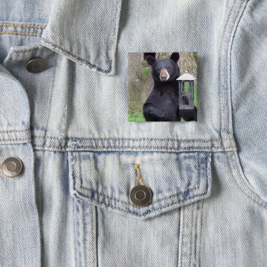 Schwarzbär Button (Beispiel)