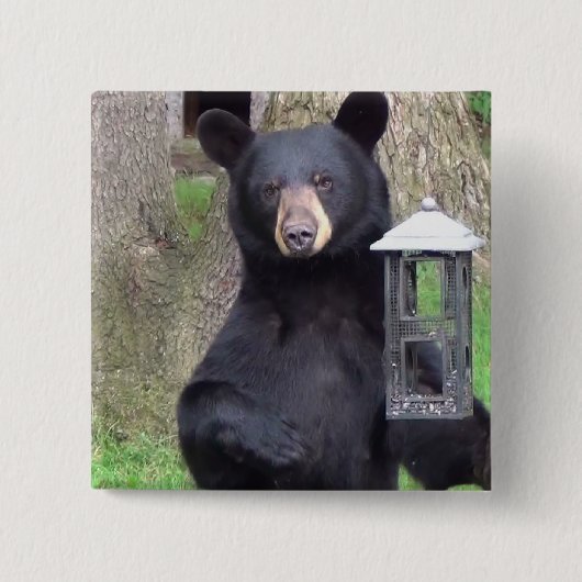 Schwarzbär Button (Vorderseite)