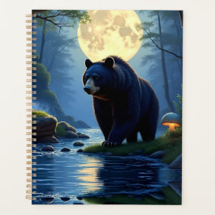Schwarzbär im Wald am Wasser Planer