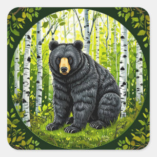 Schwarzbär im Wald Wildbär in Birkenbäumen Quadratischer Aufkleber