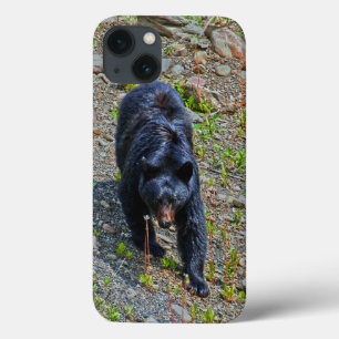 Schwarzbär im Yukon Wilderness Wildlife Foto Case-Mate iPhone Hülle