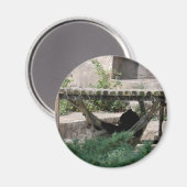 Schwarzbär in der Hammock Magnet (Vorderseite/Rückseite)