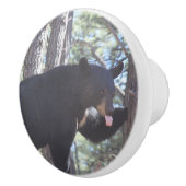 Schwarzbär Keramikknauf (Rechts)