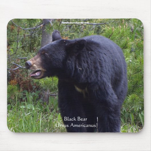 Schwarzbär & Kiefernwald-Wildlife-Mauspad Mousepad (Vorne)