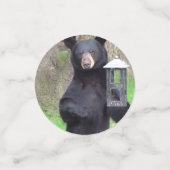 Schwarzbär Konfetti (Klein Vorderseite)