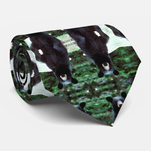 Schwarzbär Krawatte (Gerollt)