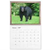 Schwarzbär - Kubby-Liebe 2025-Kalender Kalender (Feb 2027)